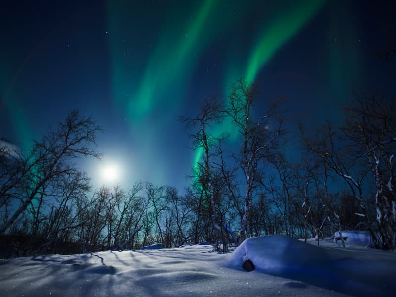 Aurora borealis and a full moon over a snowy forest