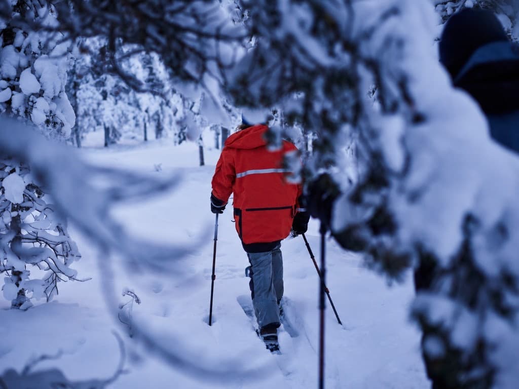 Snowshoeing through the snow-covered old-growth forest