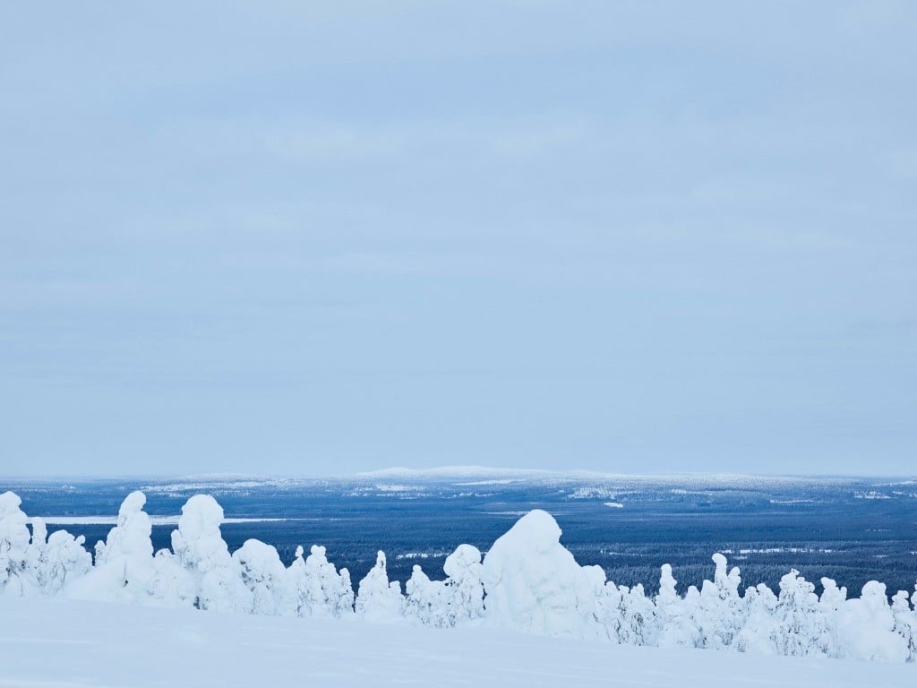 Snow-covered fell view over the forests of Finnish Lapland