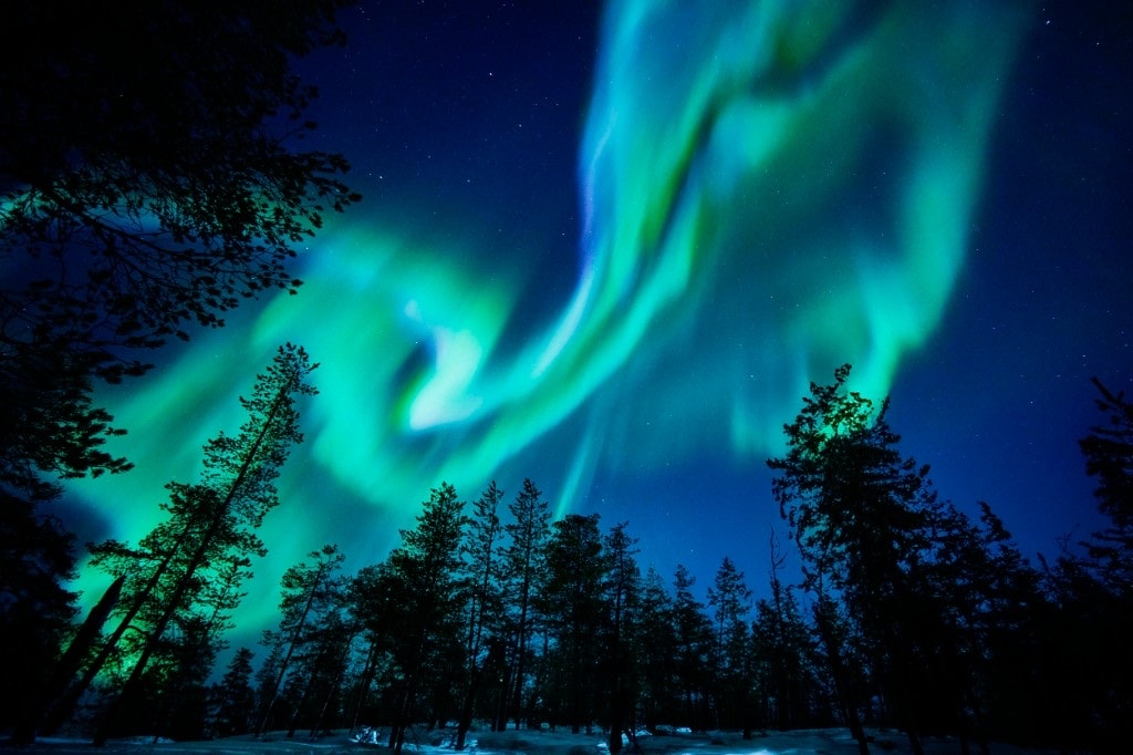 Strong green aurora over a pine forest in Finnish Lapland