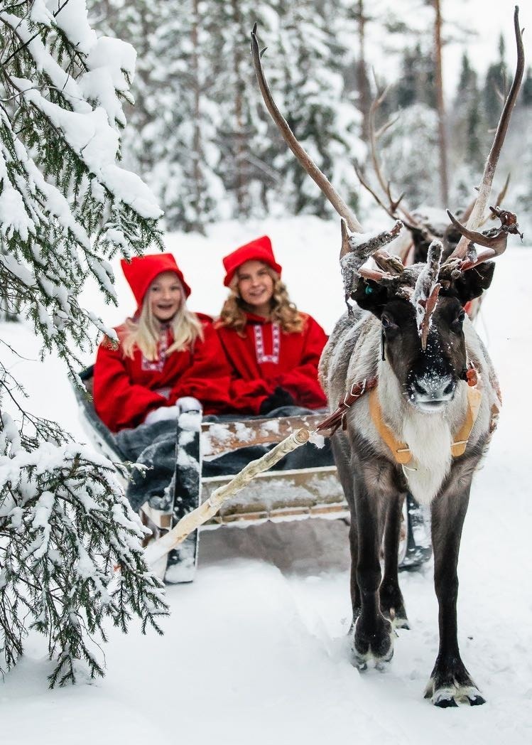 Two children in red elf coats riding a reindeer sleigh through the snowy forest