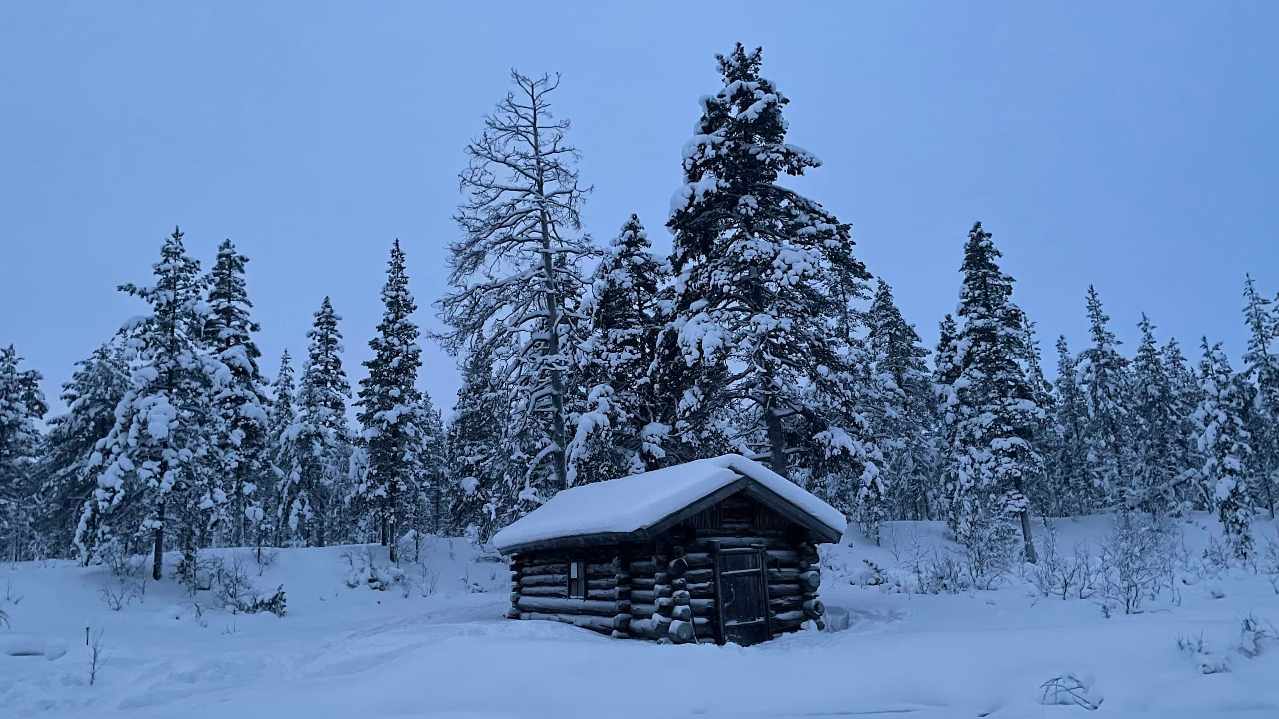 Log cabin in snowy Lapland forest